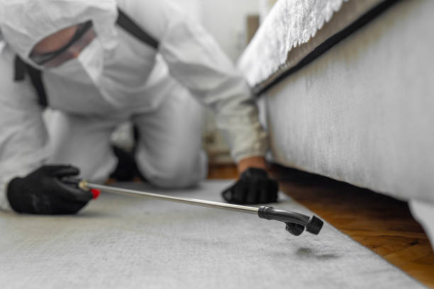 Professional Termite Control technician working in Forest Heights, TX