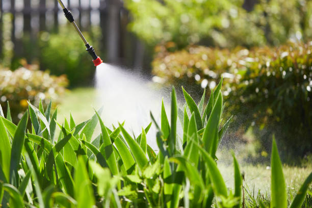 24/7 Emergency Termite Control experts in Forest Heights, TX