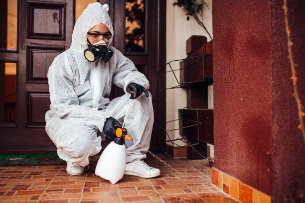 Reliable Termite Control contractor in Forest Heights, TX by Nex Pest Control
