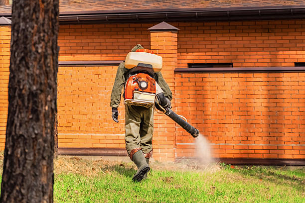 Top rated local Termite Control specialists in Forest Heights, TX